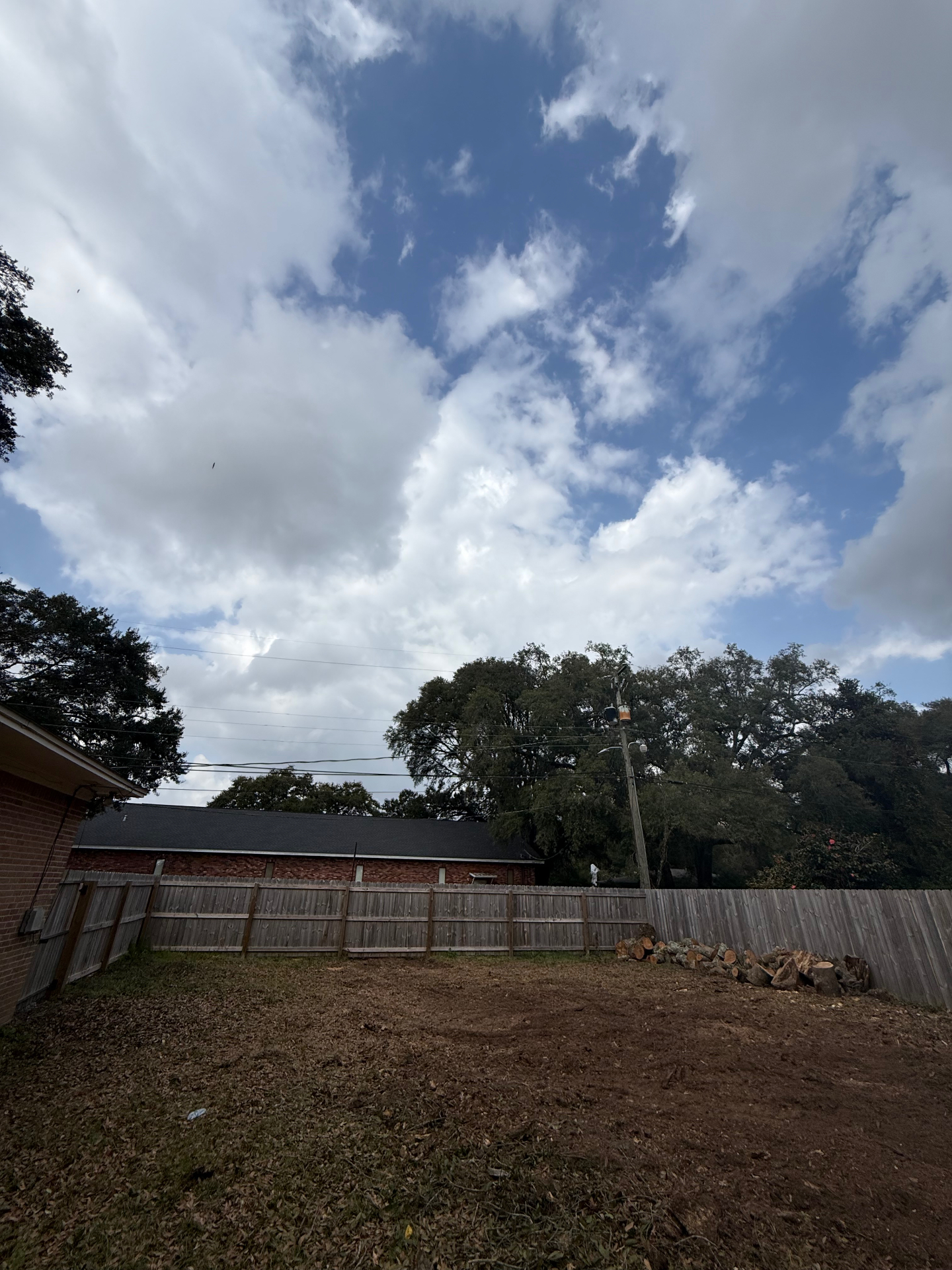 Yard after hazardous tree removal and cleanup